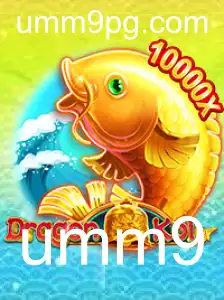 Explorando o Fascinante Mundo de DragonKoi
